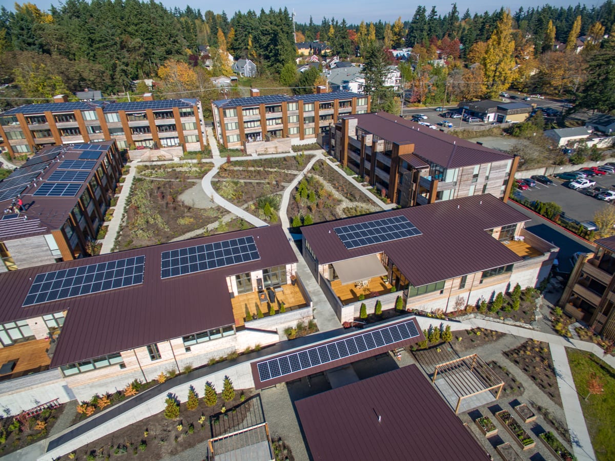 the Juniper – Grow Community Bainbridge | Net Zero Living